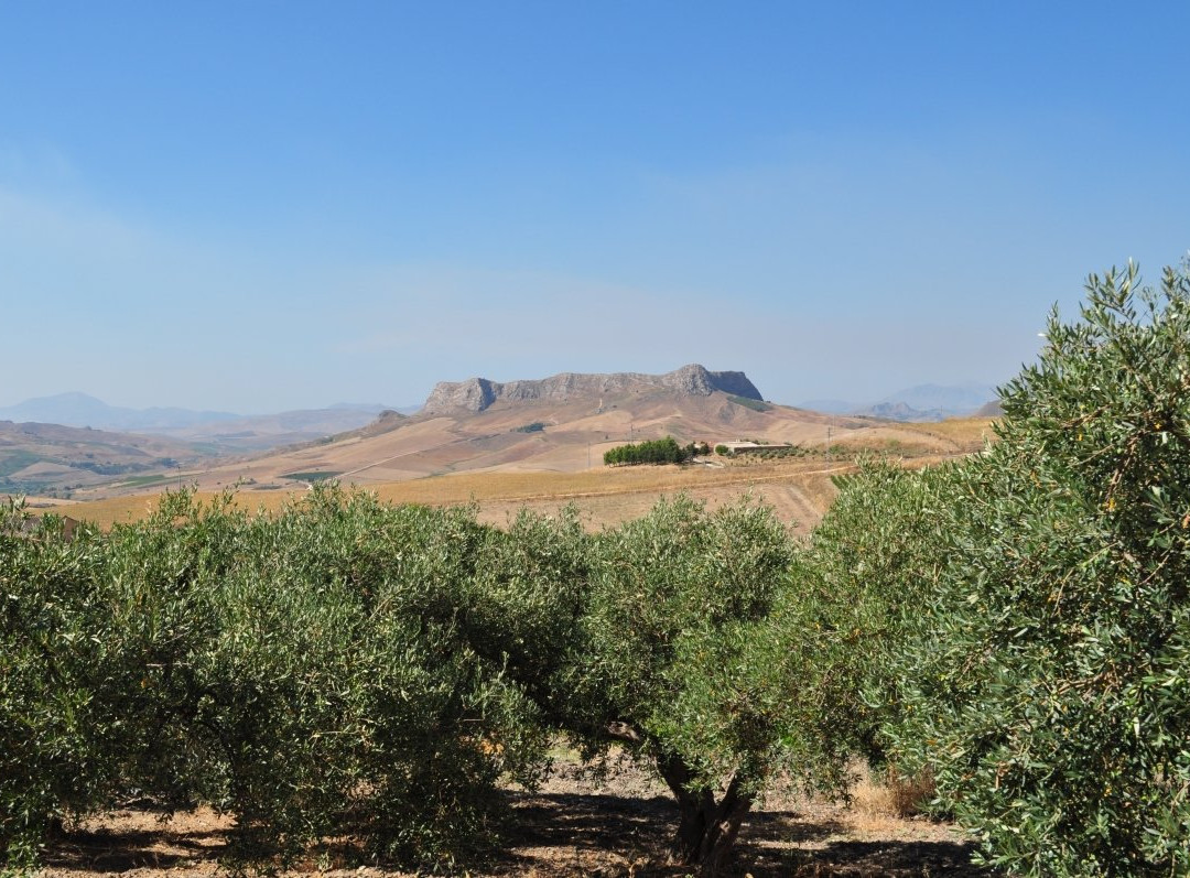 Filari Della Rocca景点图片