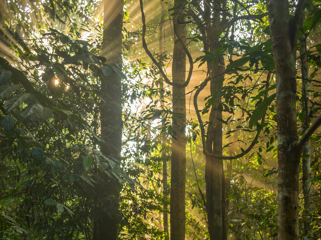 Borneo Beyond Adventure-亚庇必去景点