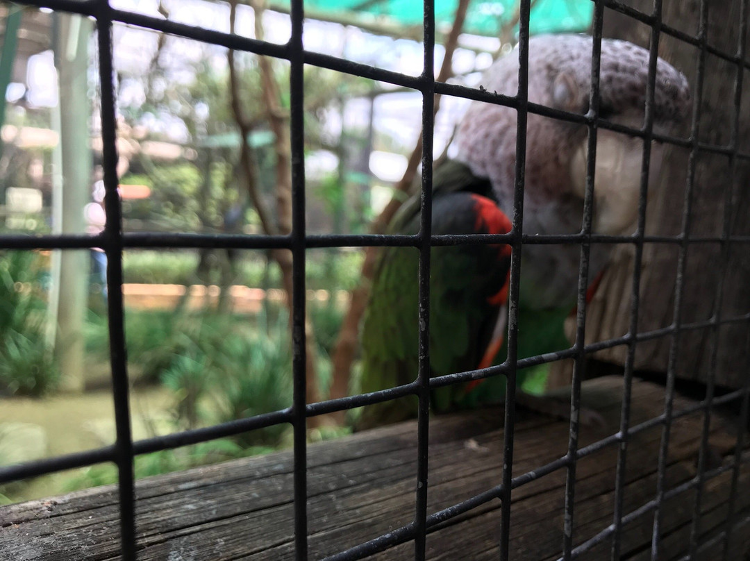 Lory Park景点图片
