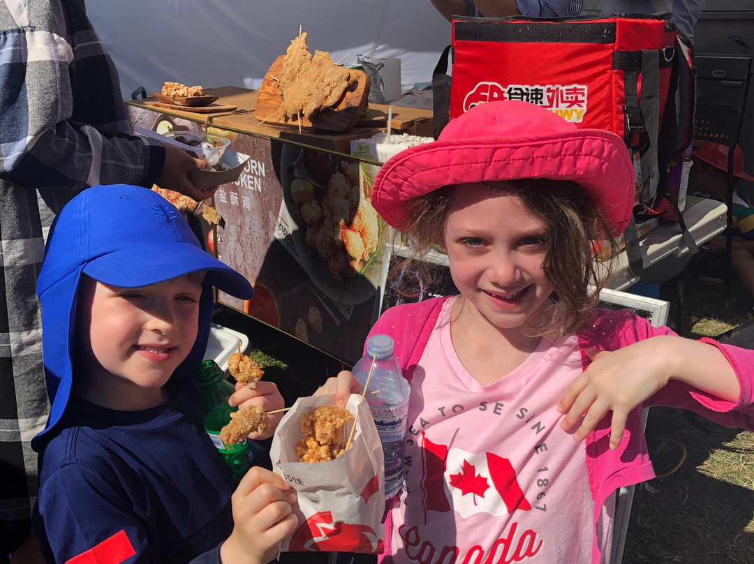 Taste of Asia Festival-万锦市必去景点