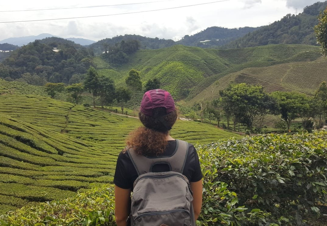 Cameron Highlands Trail No. 10景点图片