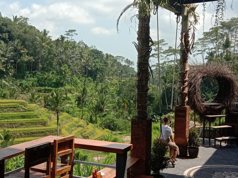 Wira Bali Tour & Travel-水明漾必去景点