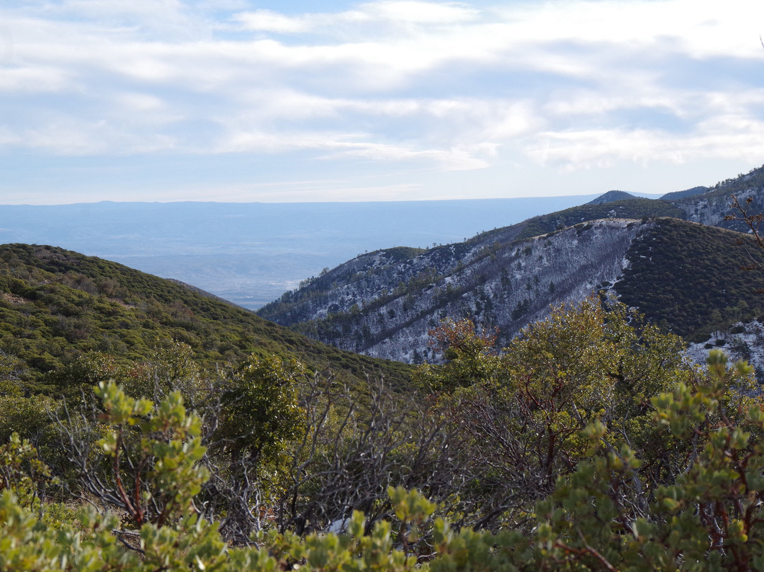 Mingus Rim Trails #536 /537 /538-Clarkdale必去景点