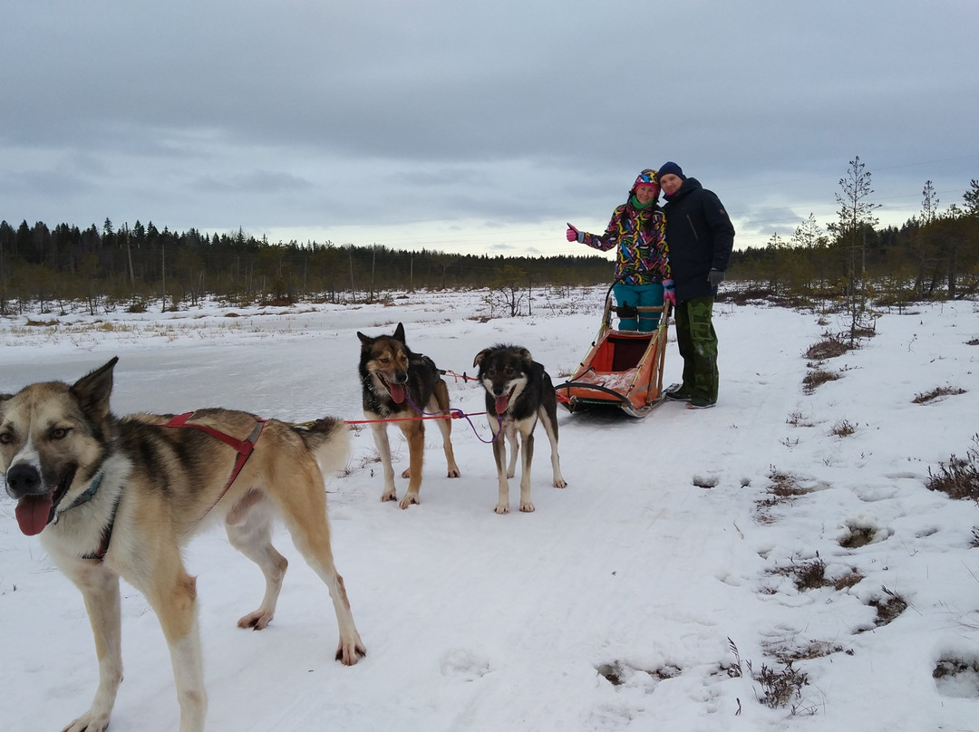 Nordic Husky Tour景点图片