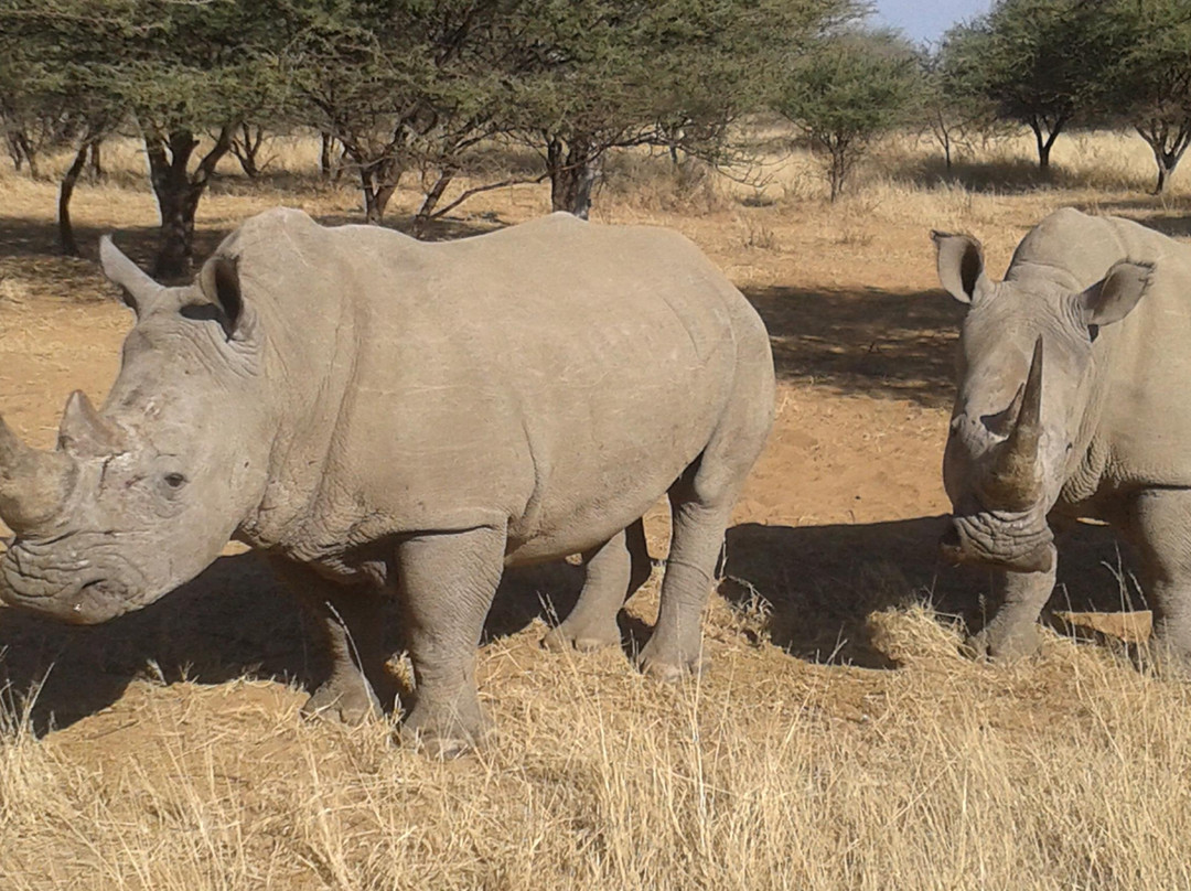 Flamingo Travel Namibia-温德和克必去景点