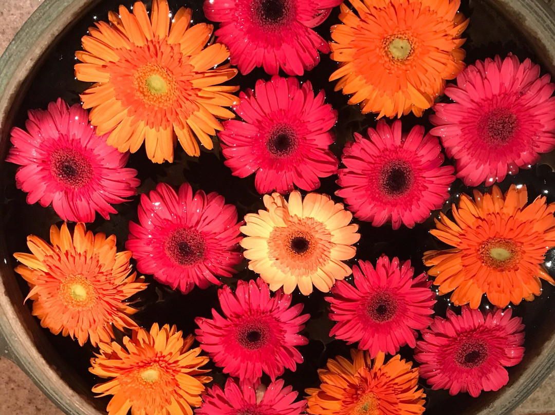 1506 号酒店主图