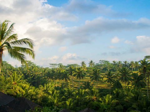 普瑞赛巴利度假村主图