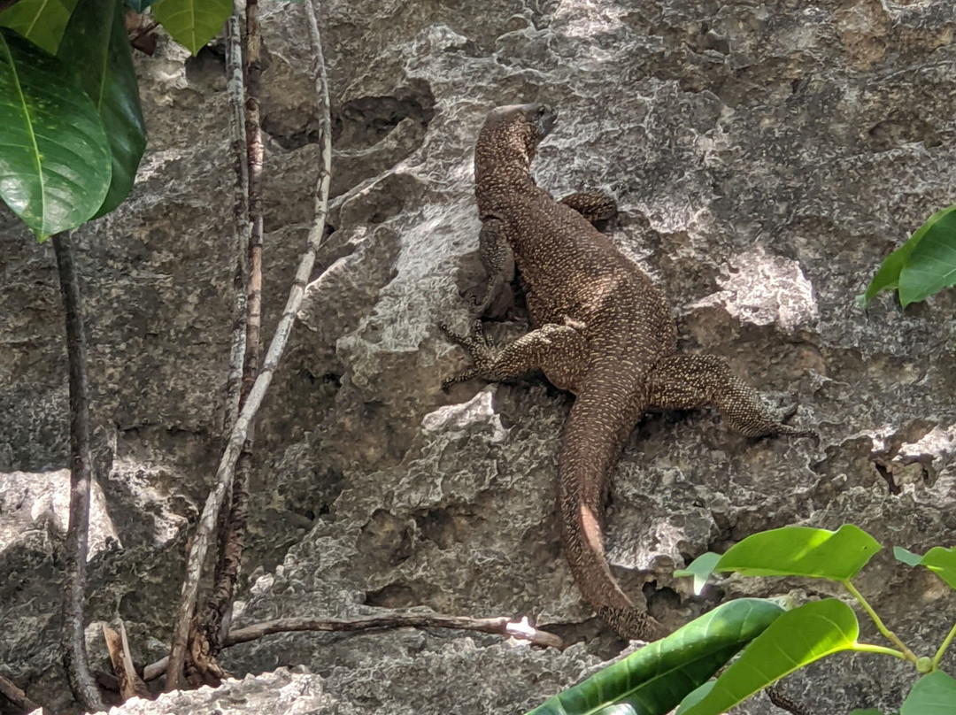 拉贾安帕特群岛-索龙必去景点