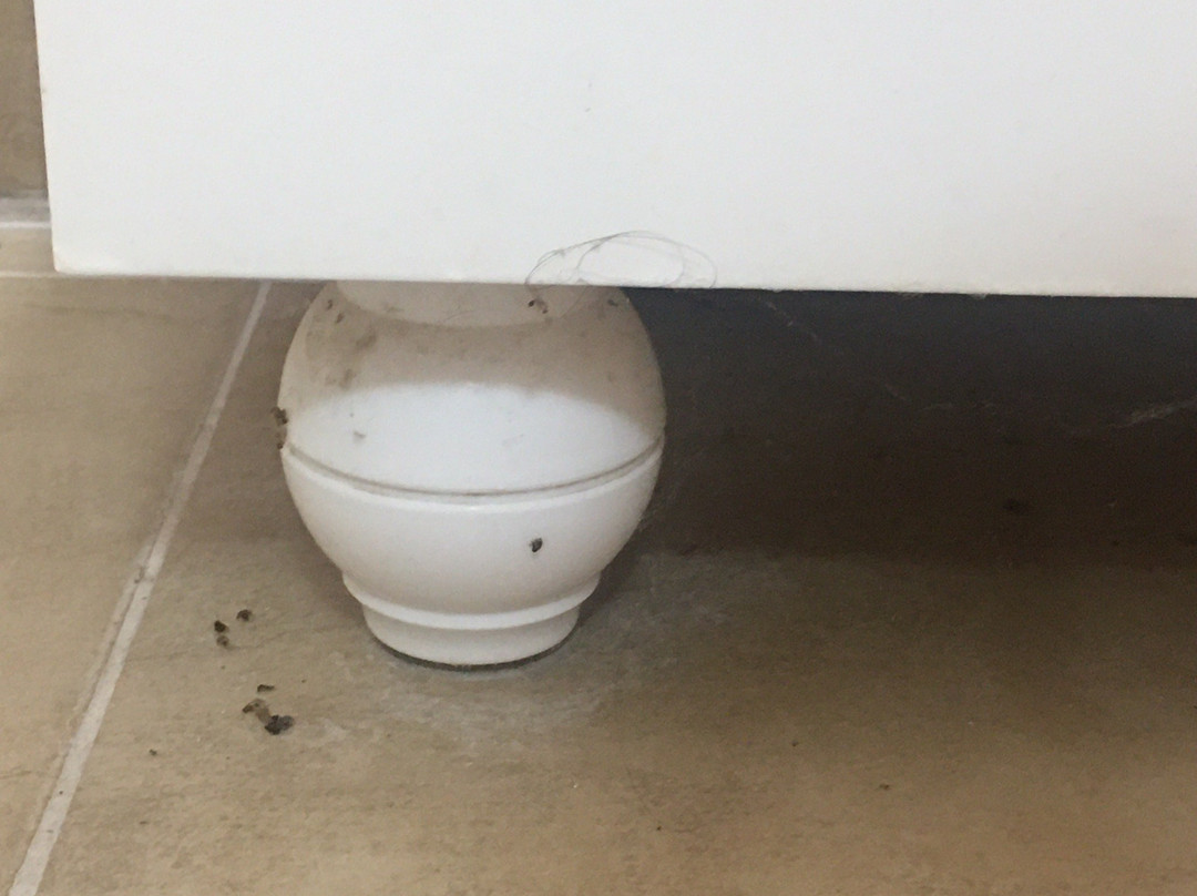 Termas Concepcion主图