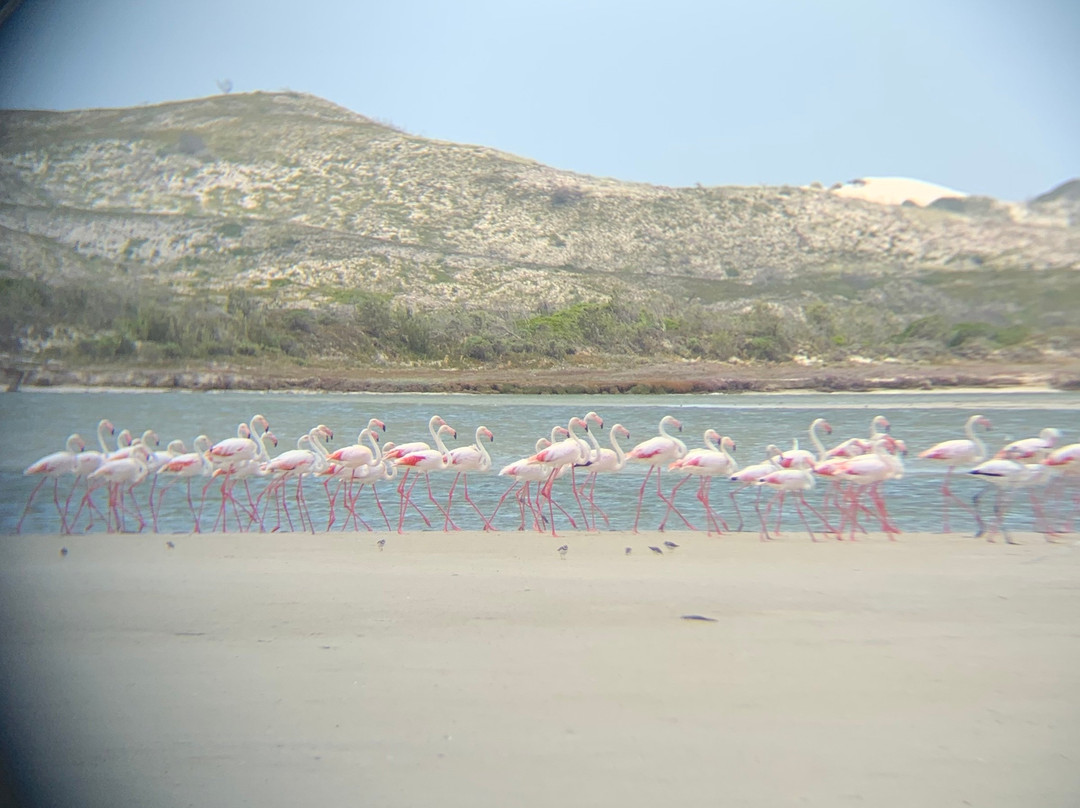 De Mond Nature Reserve-Bredasdorp必去景点