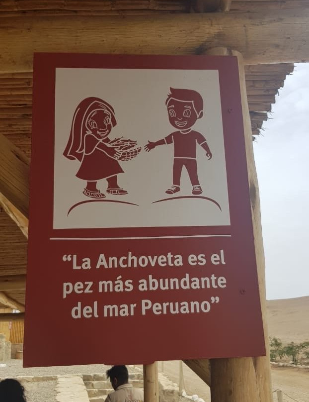 El Aspero-Barranca必去景点