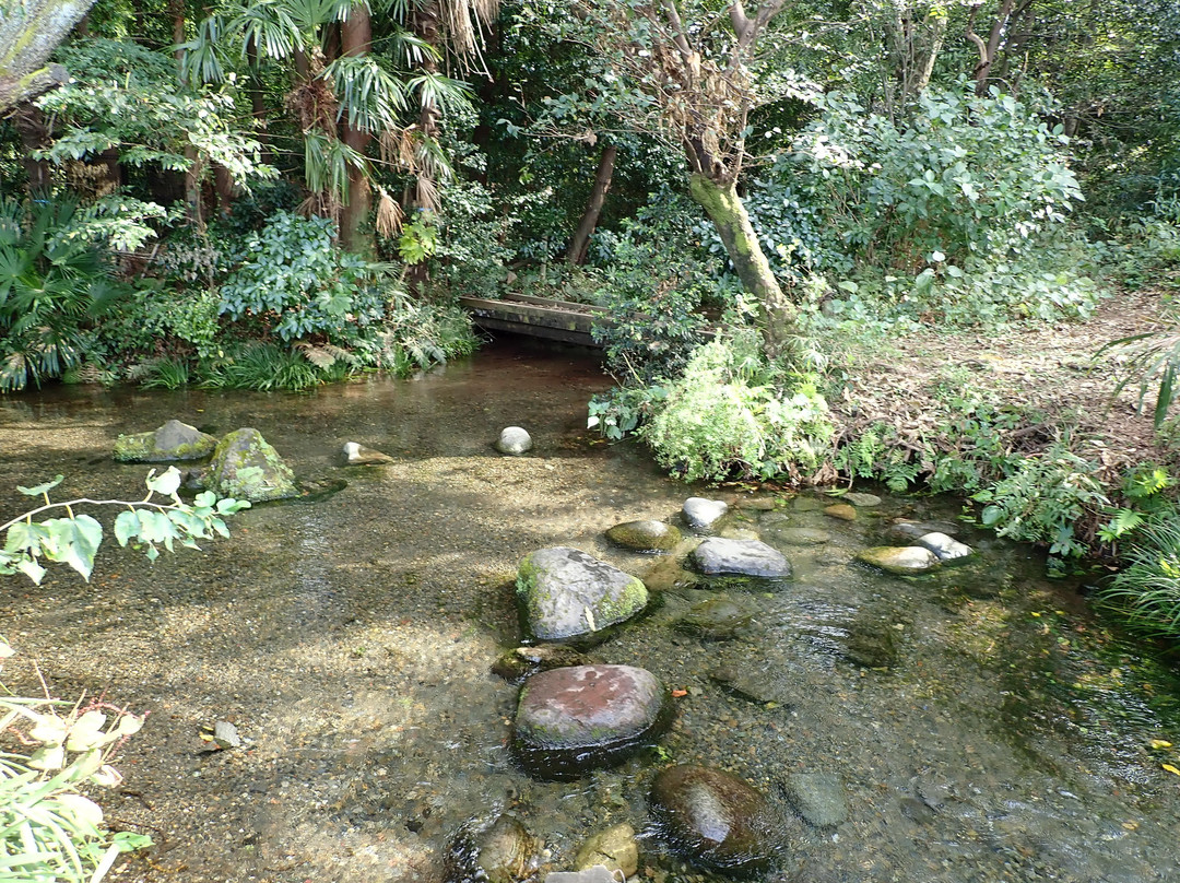 Ochiai River and Minamisawa Springs-东久留米市必去景点