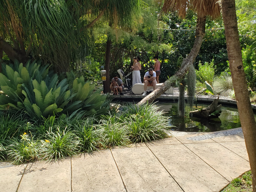 Miami Beach Botanical Garden景点图片