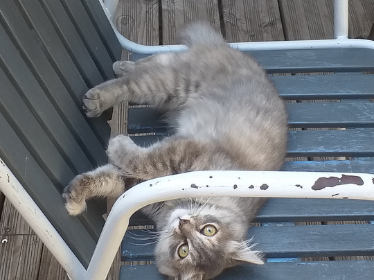 Gîte d'étape Les Volets Bleus - Chez Sébastien主图