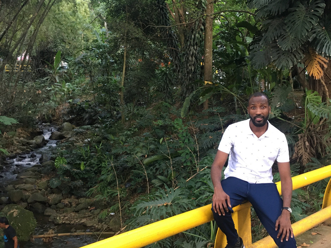 Whee Institute-波哥大必去景点