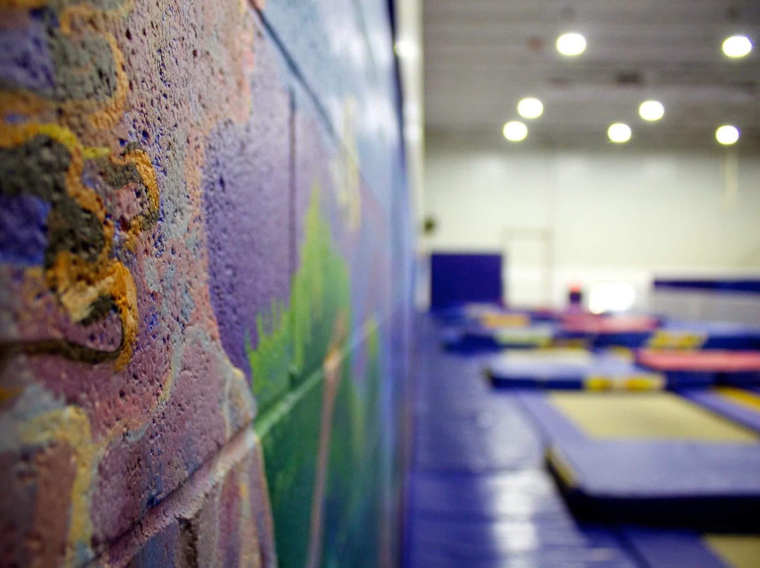 Club de Trampoline Acrosport Barani-拉瓦尔必去景点