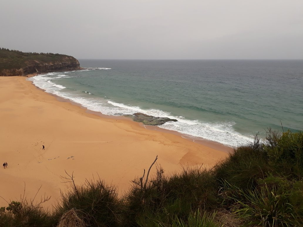 Warriewood Beach景点图片