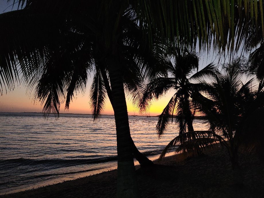 Freedom Shores主图