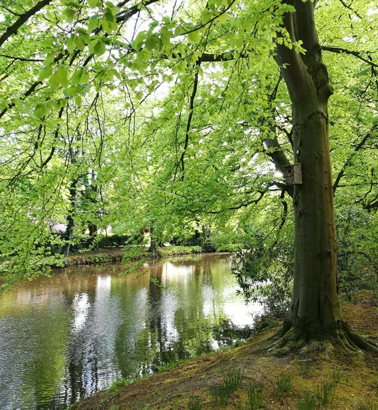 Oldenburger Schlossgarten景点图片