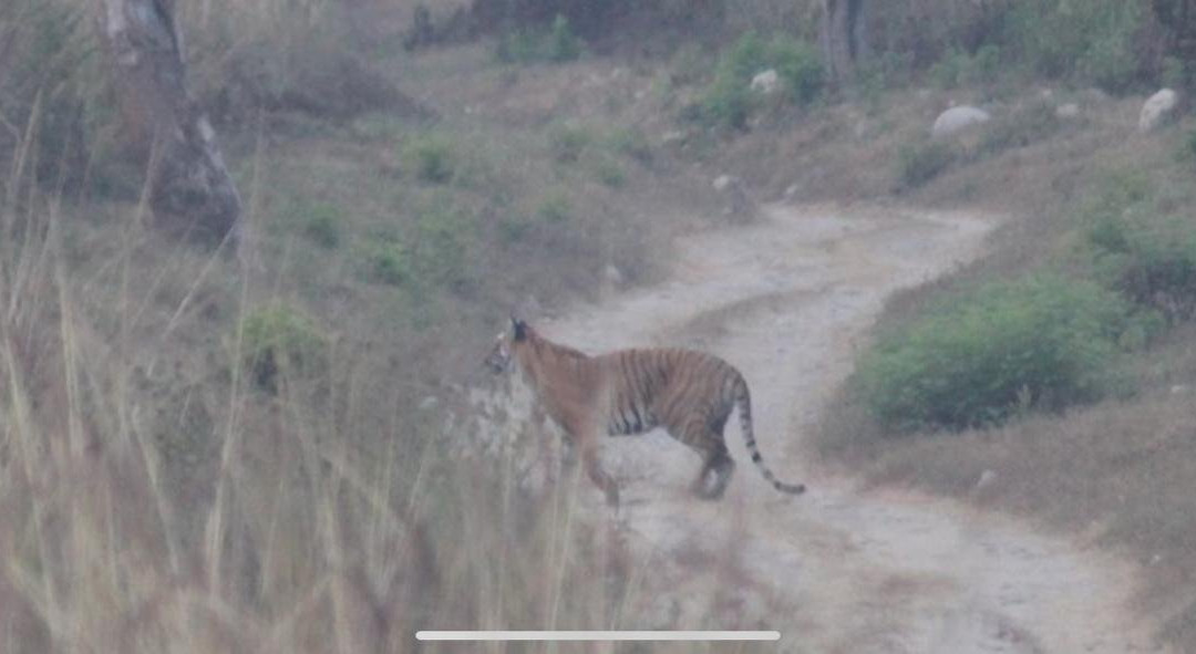 Ashoka's Naini Chalet Resort主图