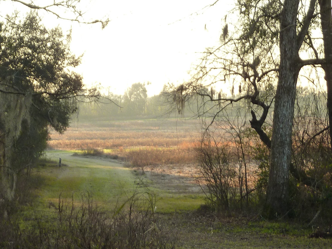 JR Alford Greenway Trail-塔拉哈西必去景点