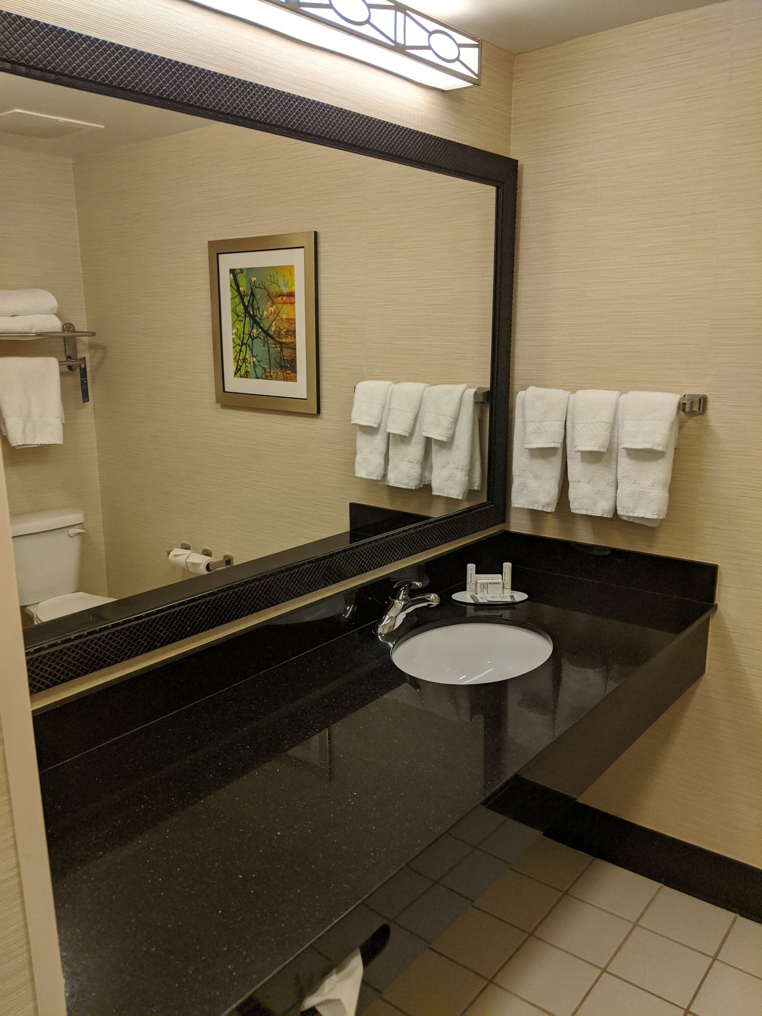 Fairfield Inn & Suites Mobile Daphne/Eastern Shore-浴室