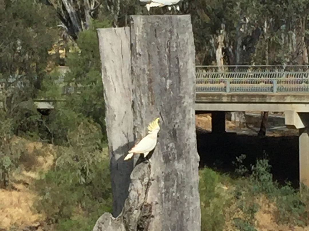 Adelphi Apartments主图