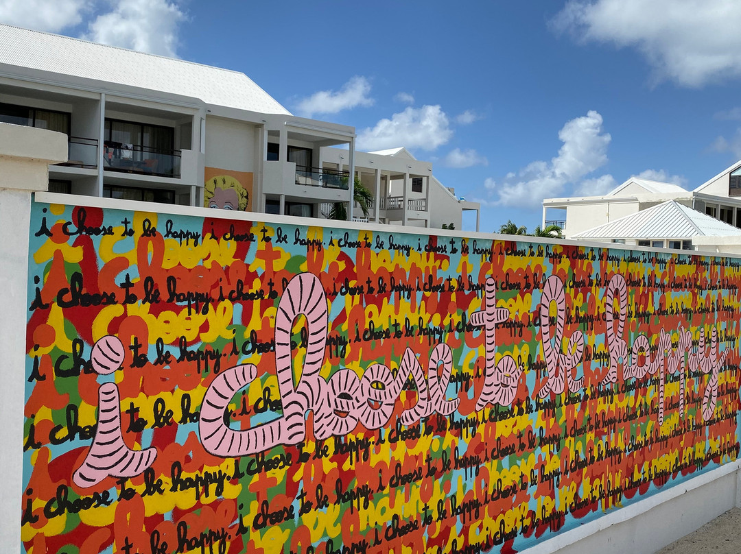 The Wall of Art-Marigot必去景点