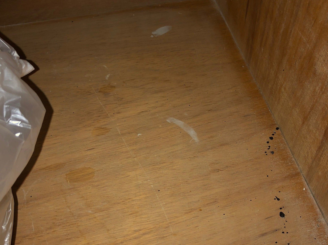 Staybridge Suites Brownsville by IHG主图