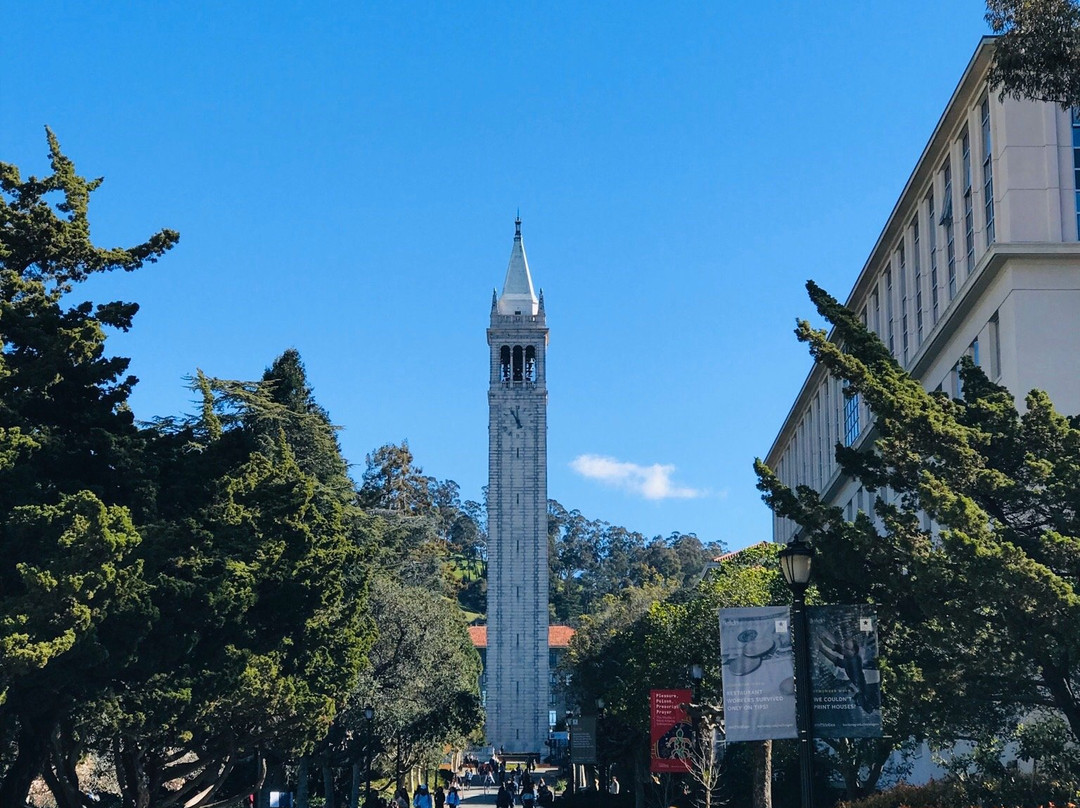 Sather Tower-伯克利必去景点