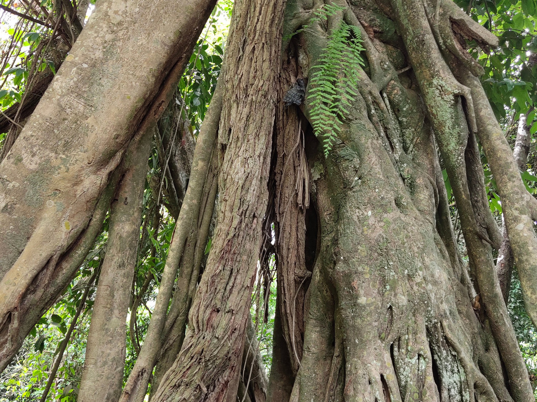 Off The Beaten Track-清迈必去景点