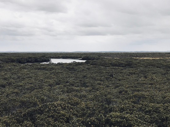 Port Franklin Public Purposes Reserve-Port Franklin必去景点