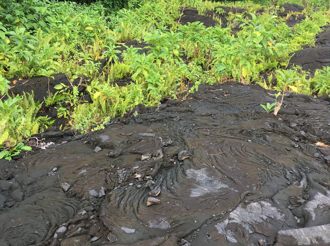 Saleaula Lava Fields-萨瓦伊岛必去景点
