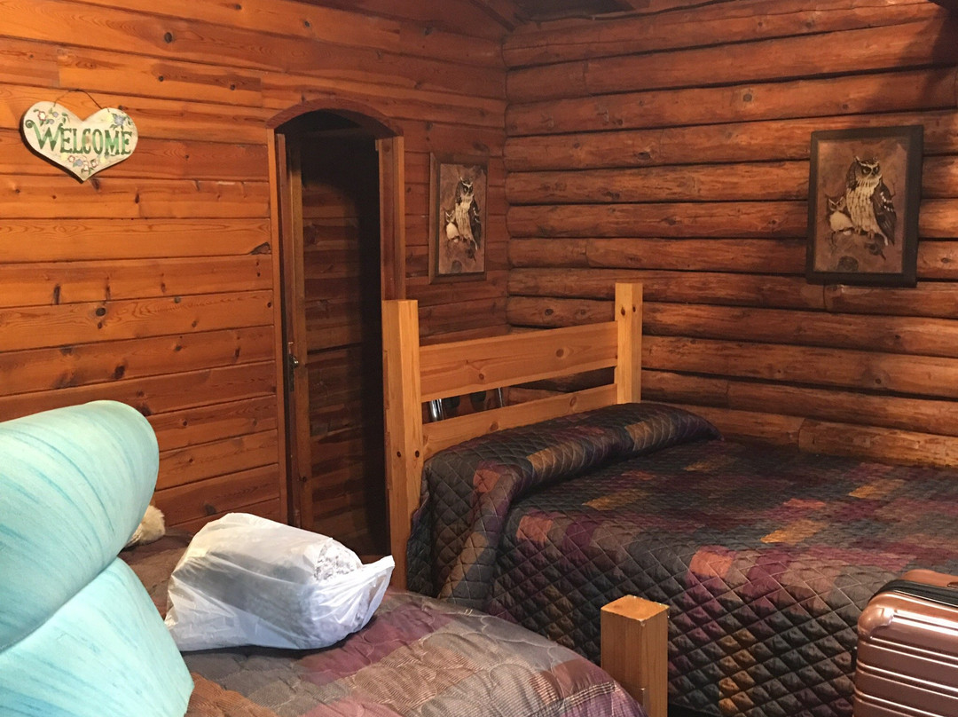 Janssen's Lodestone Motel & Cabins主图