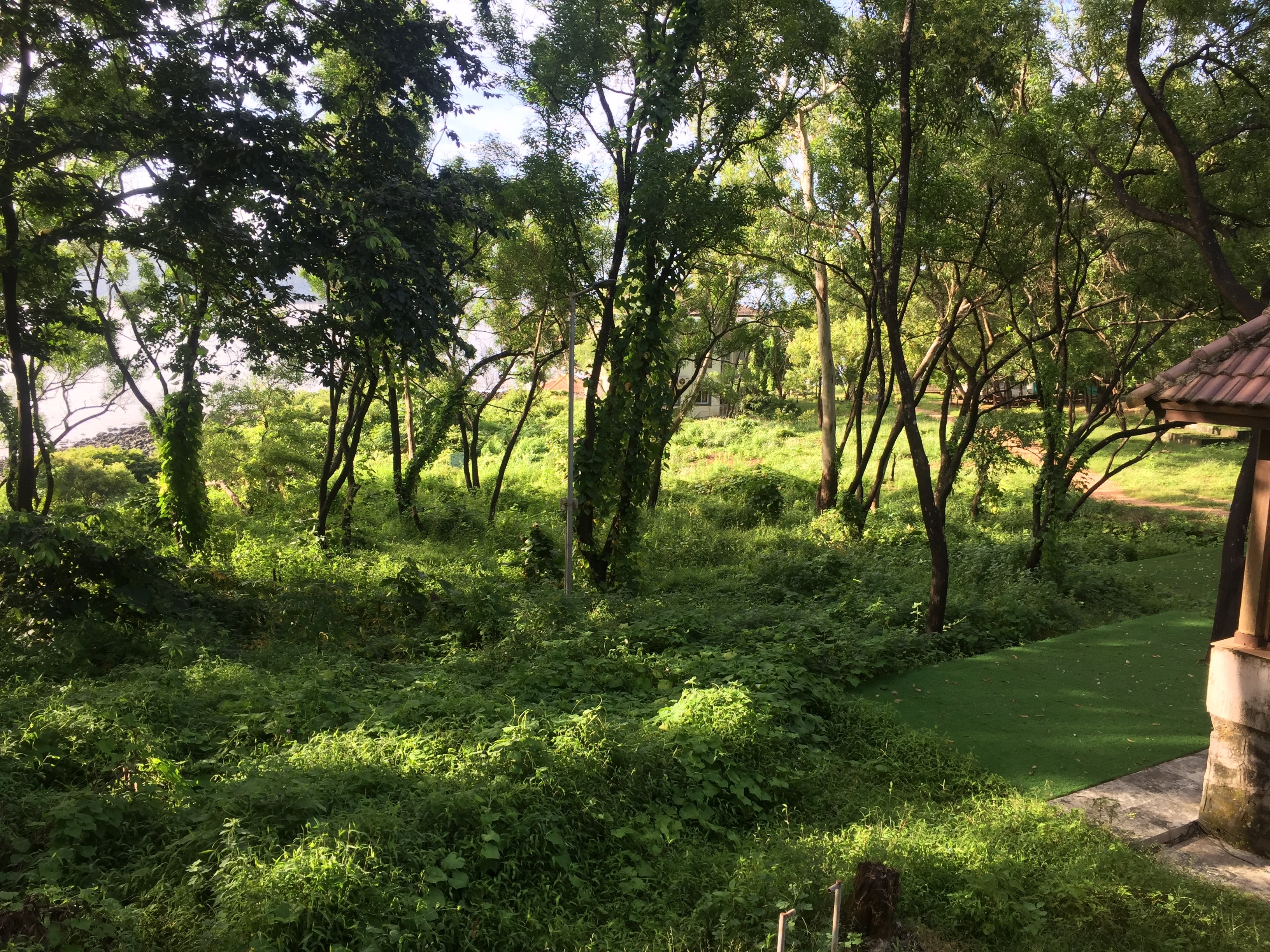 MTDC Harihareshwar-酒店景观