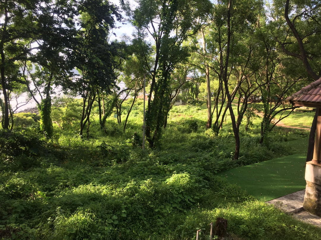 MTDC Harihareshwar主图