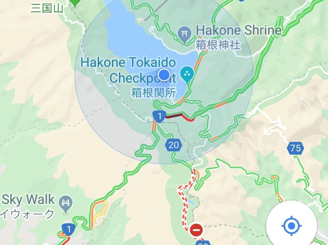 Mt. Fuji Station景点图片