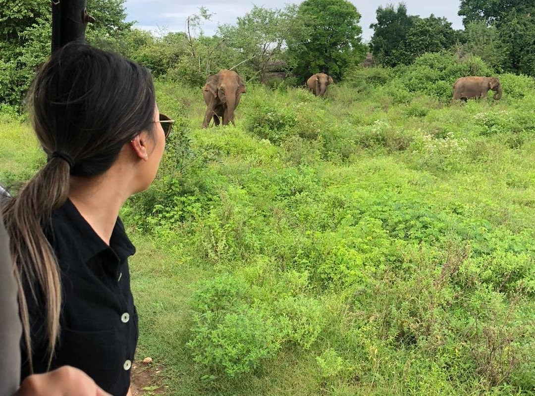 Ravana Taxi & Tours Ella-埃勒必去景点