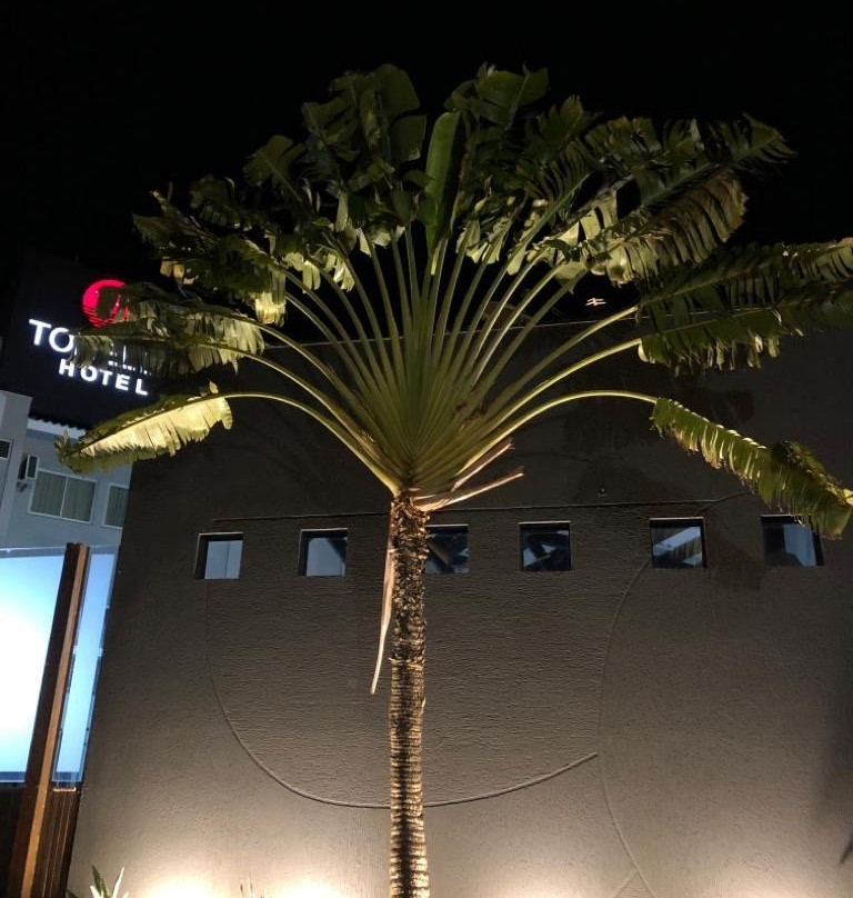 Tonello Business Hotel主图