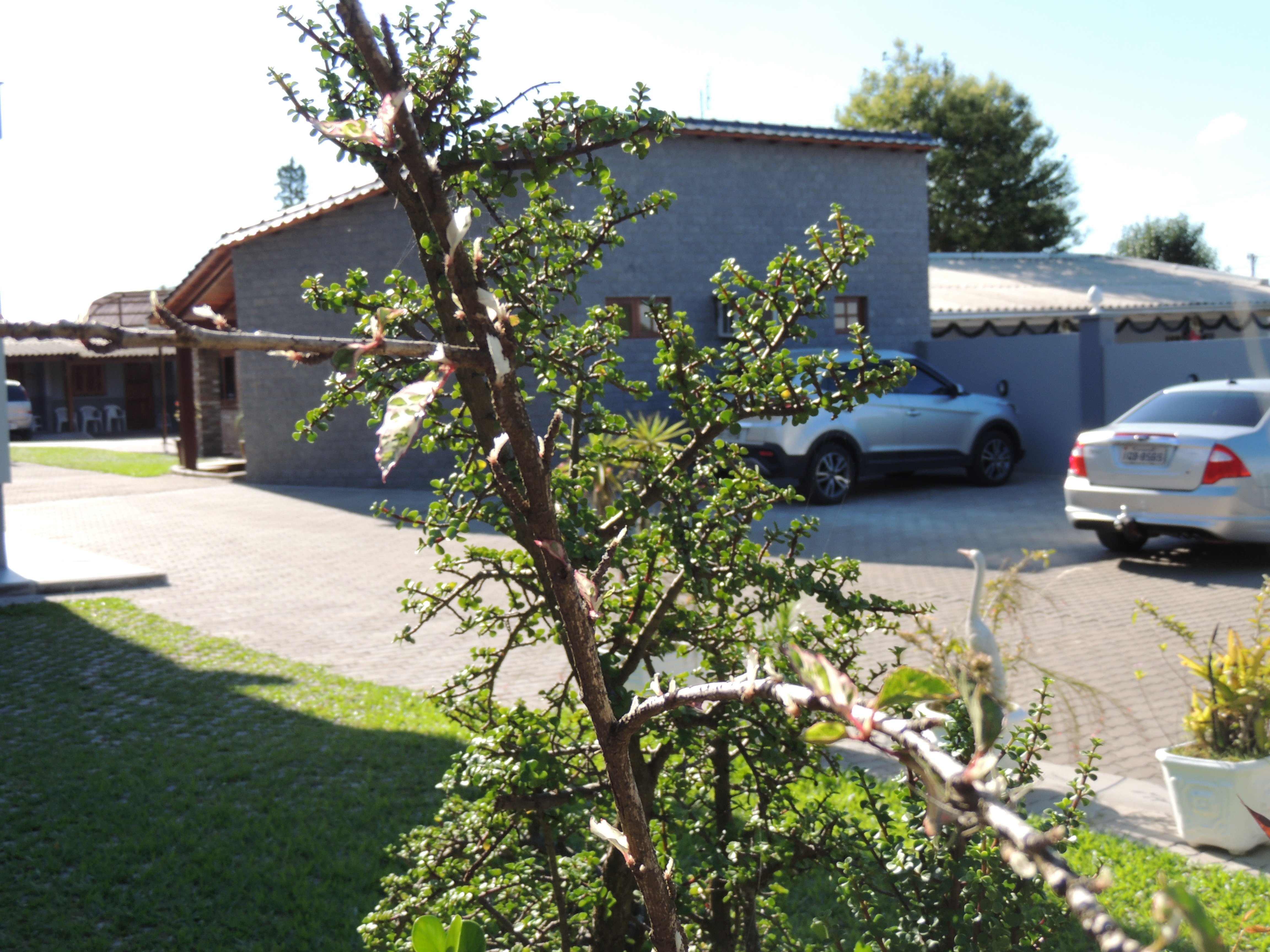 Pousadas Killian-官方