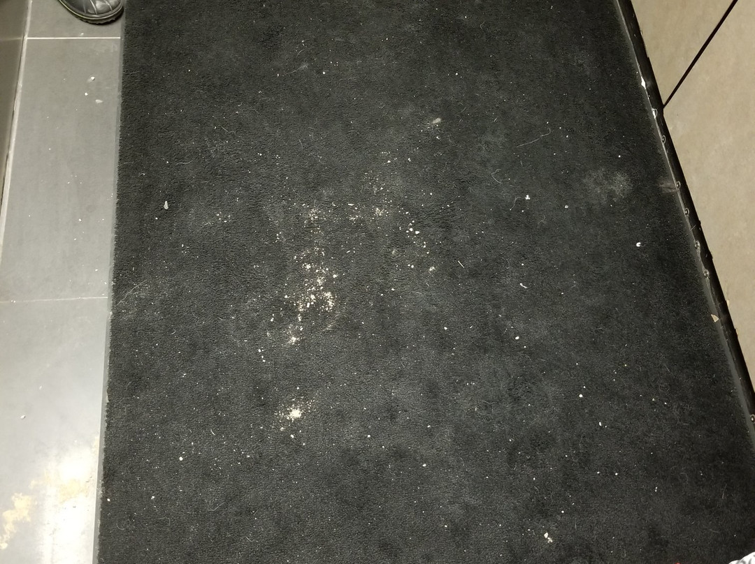 Coast Hinton Hotel主图