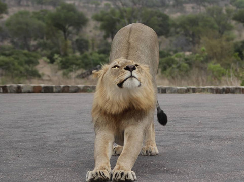 Muzi Safari Tours-雾观必去景点