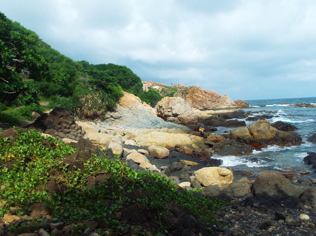 New Star - Day Tours-绥和必去景点