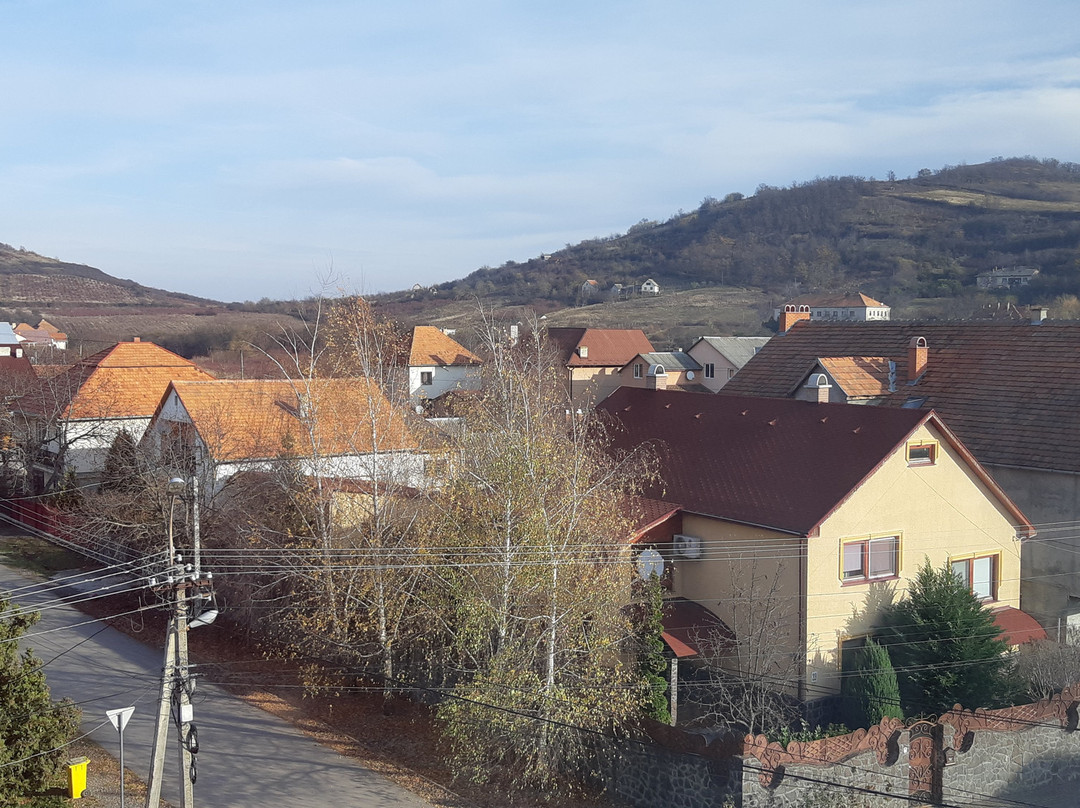 Apartments On Leva St.