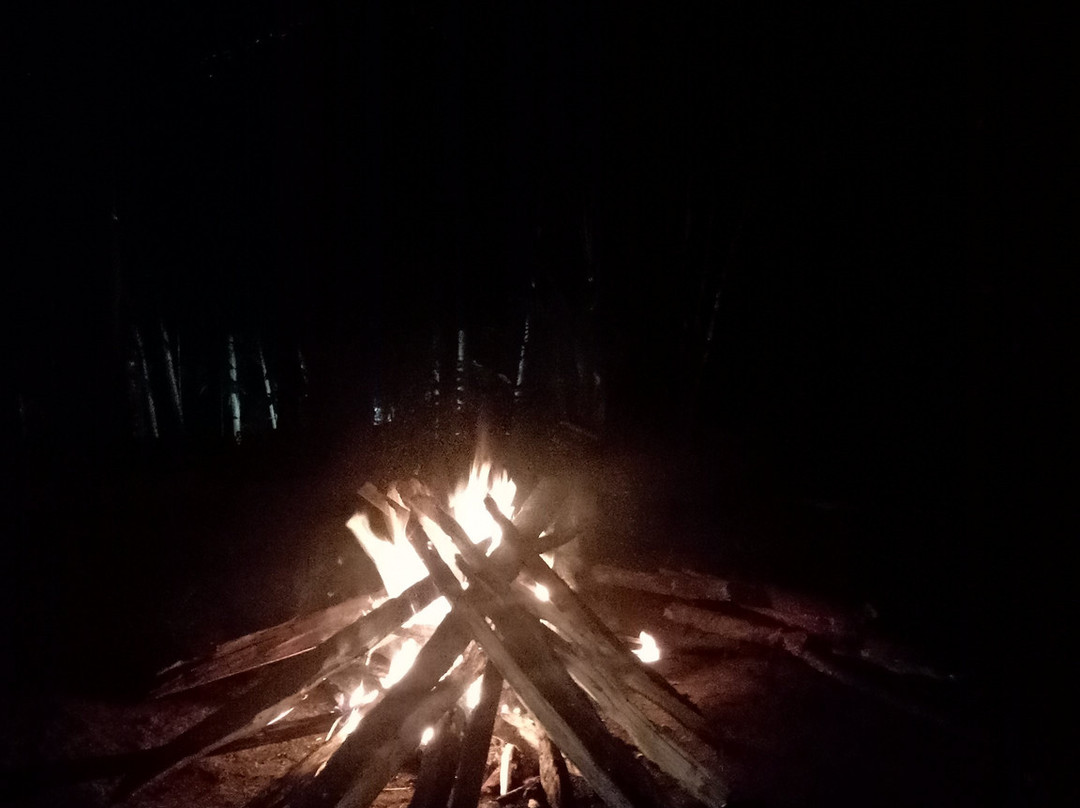 Bamboo Creek Resort主图