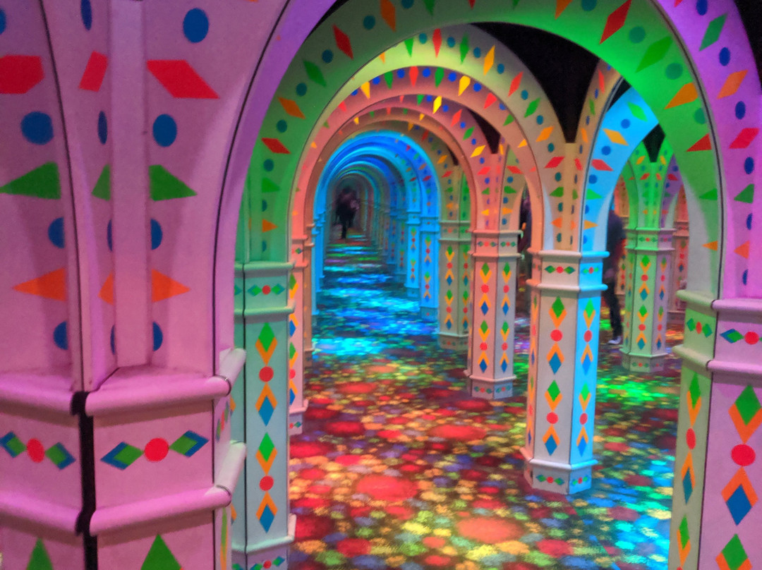 Amazing Mirror Maze-布卢明顿必去景点