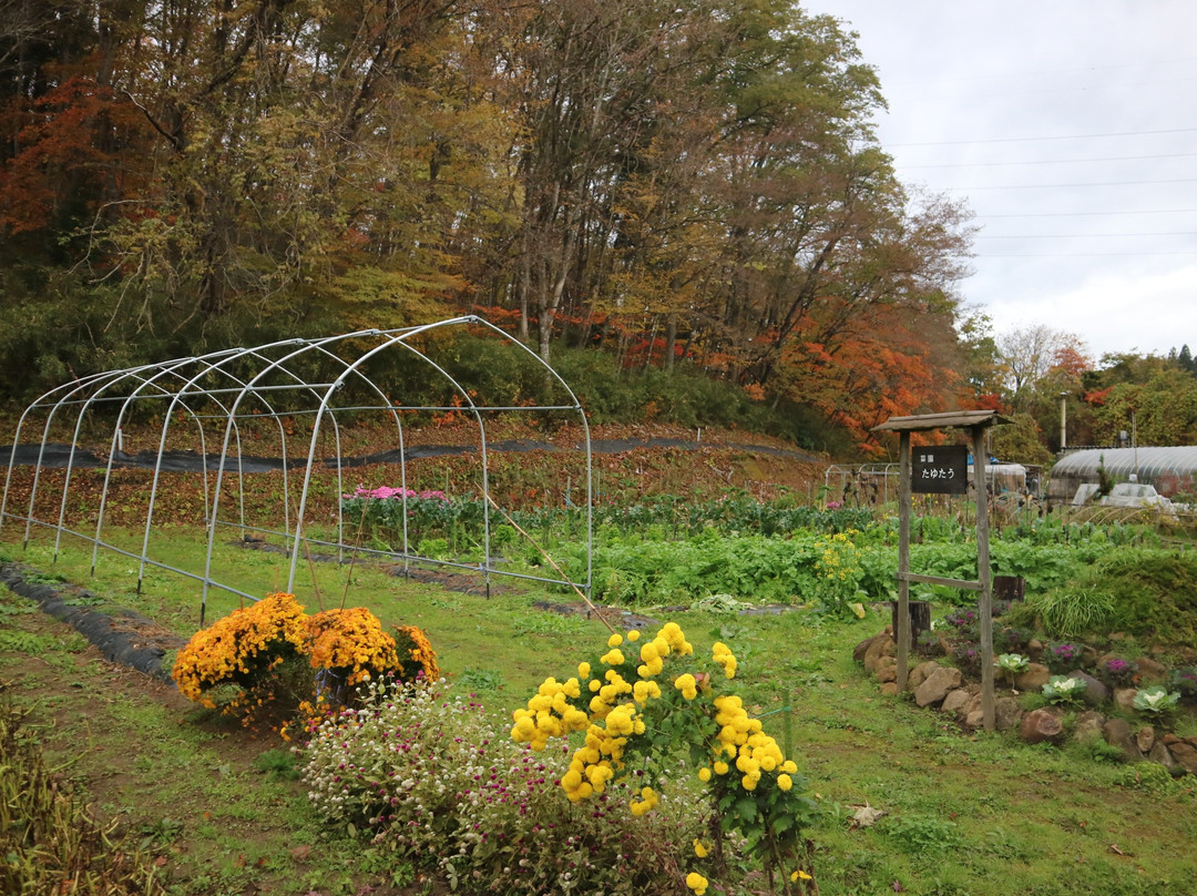 Soba-an Shizukatei主图