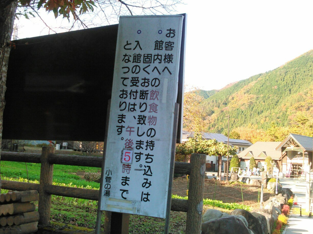 Michi-no-Eki Kosuge景点图片