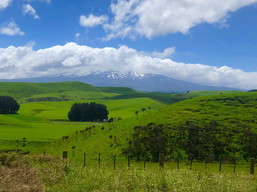 Northern Explorer-Parnell必去景点