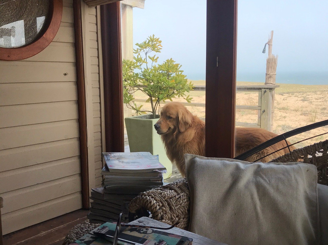 Chez Silvia Bistro Suite Cabanas主图